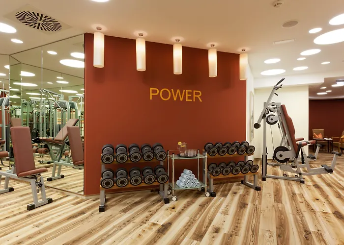 アルペンホフ 4* トゥクス